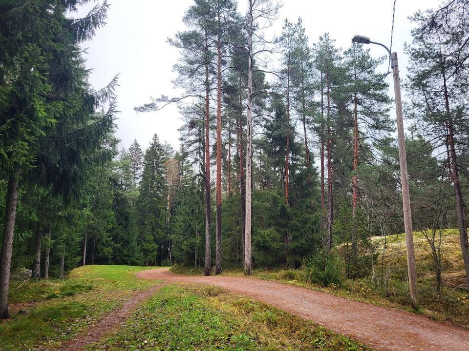 Espoo chose Greenled Amber Nature Lense to Espoo Central Park