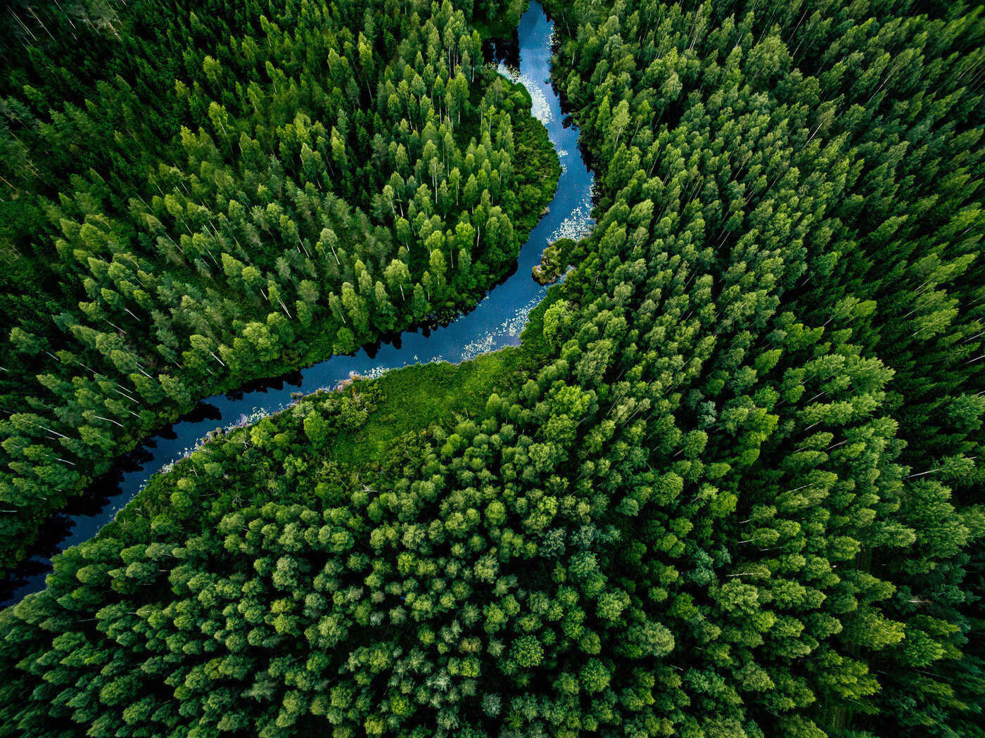 brand-nature-origi-forest-river-birdseye_1400px