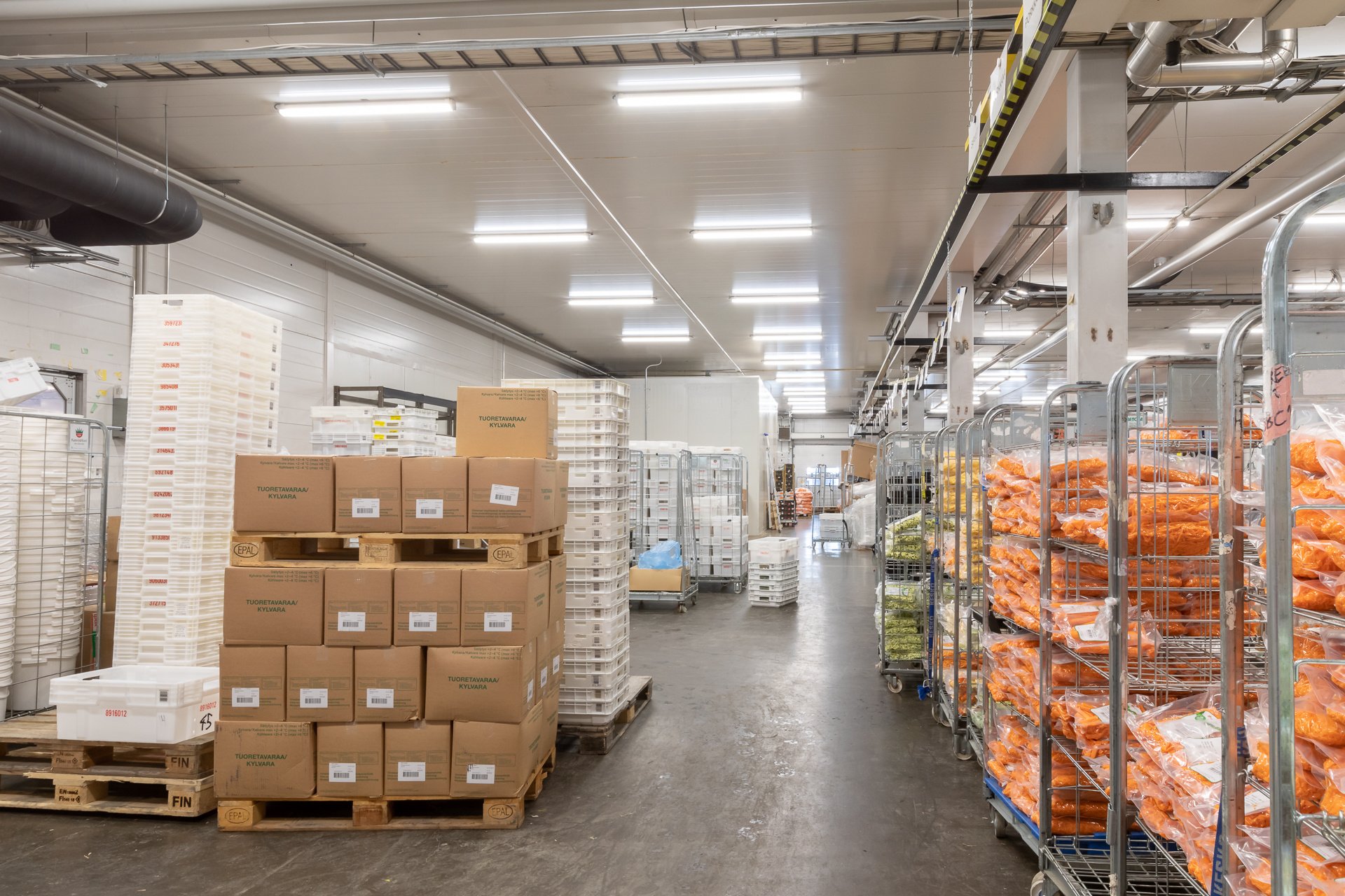 Reference_industrial_lighting_Kasvishovi_5