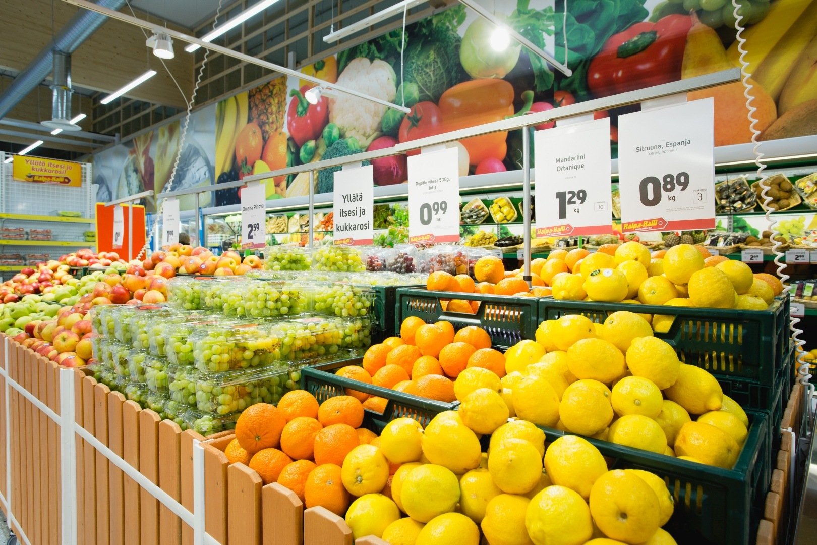 Reference_store_lighting_Halpa-Halli_Muurame_3