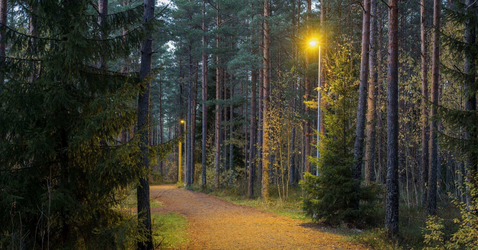Reference_streeth_lighting_Pori_forest_2000x