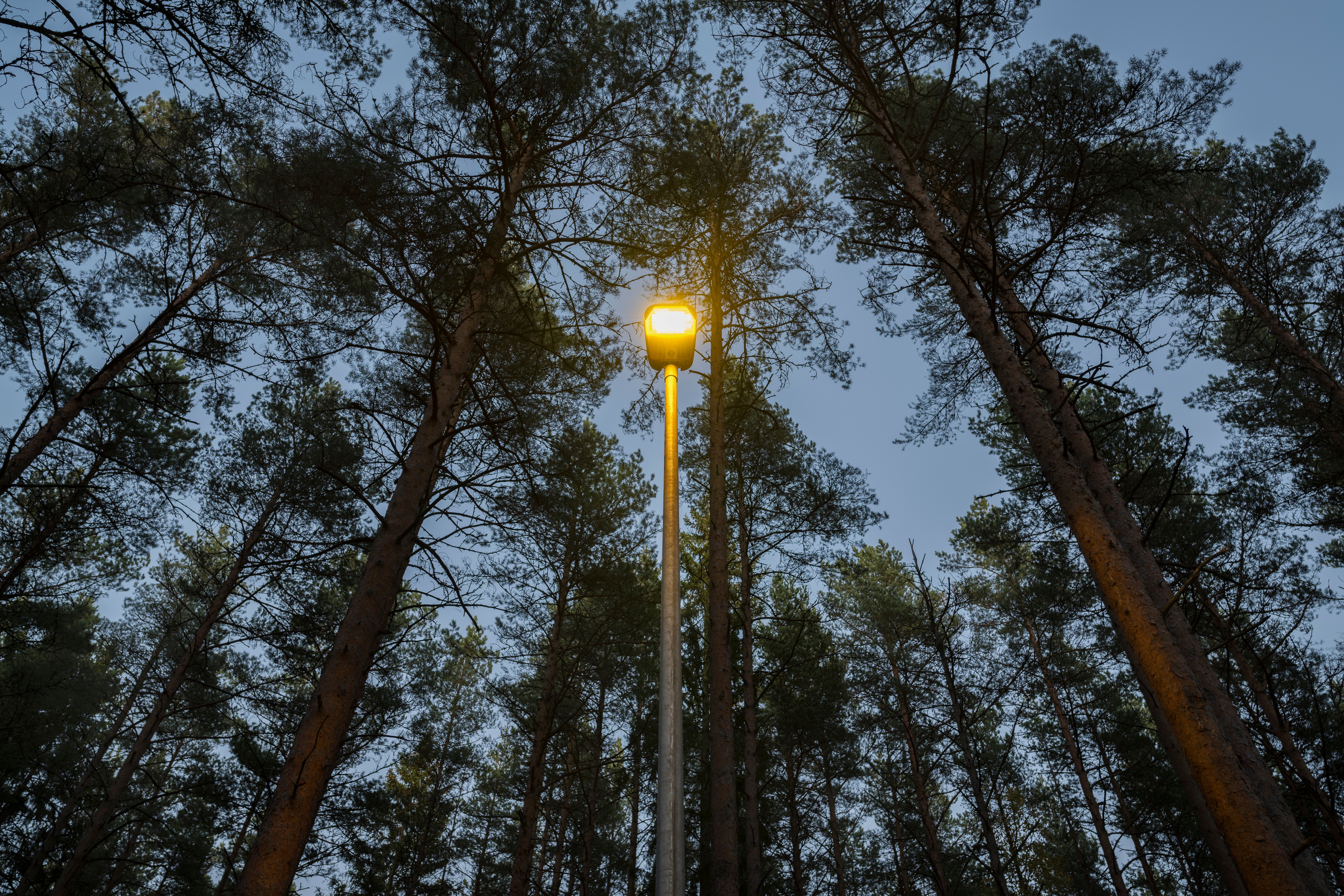 Reference_streeth_lighting_Pori_light_2_2000x