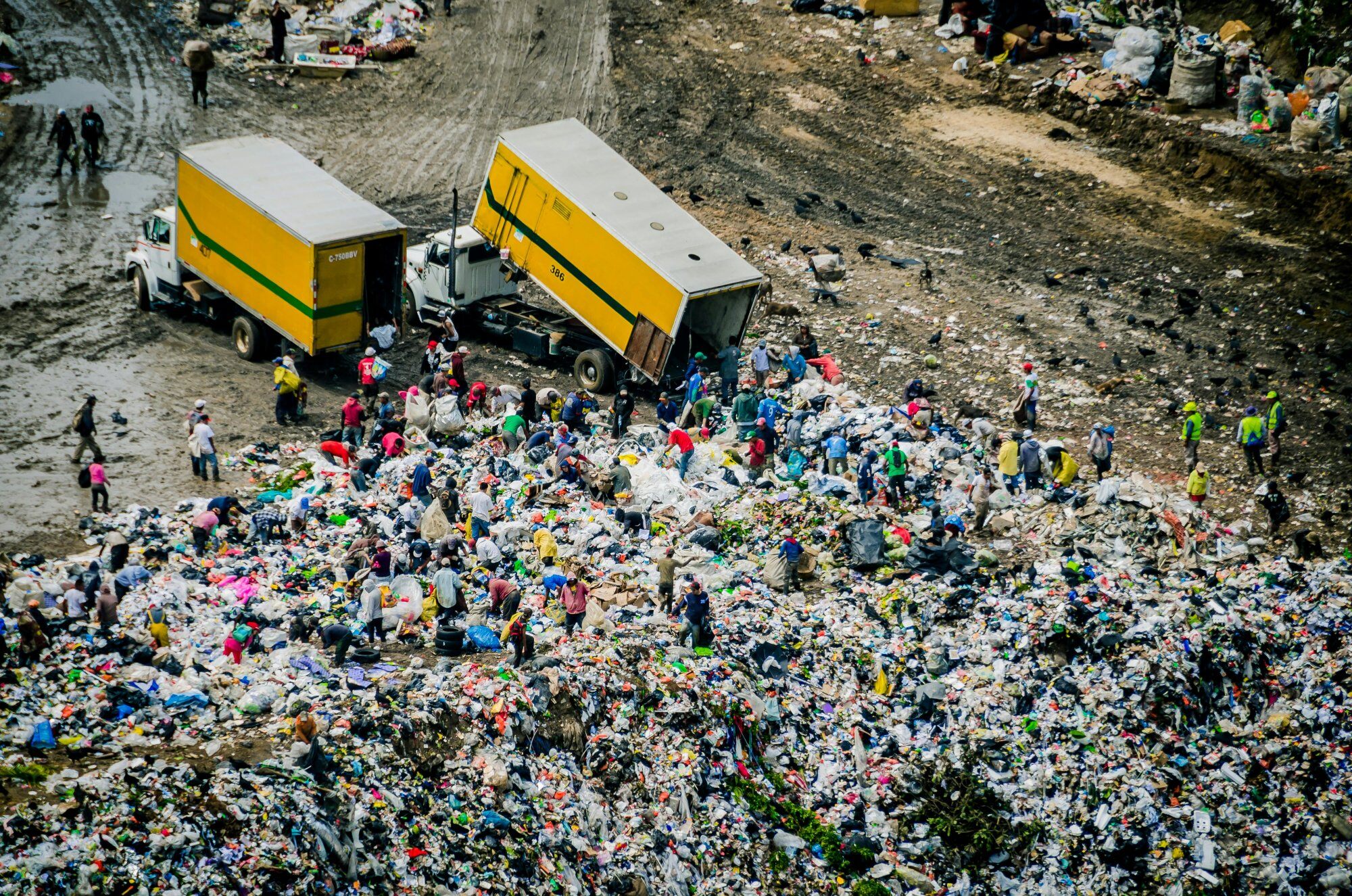 brand-waste-sustainability-trash-2000x1325
