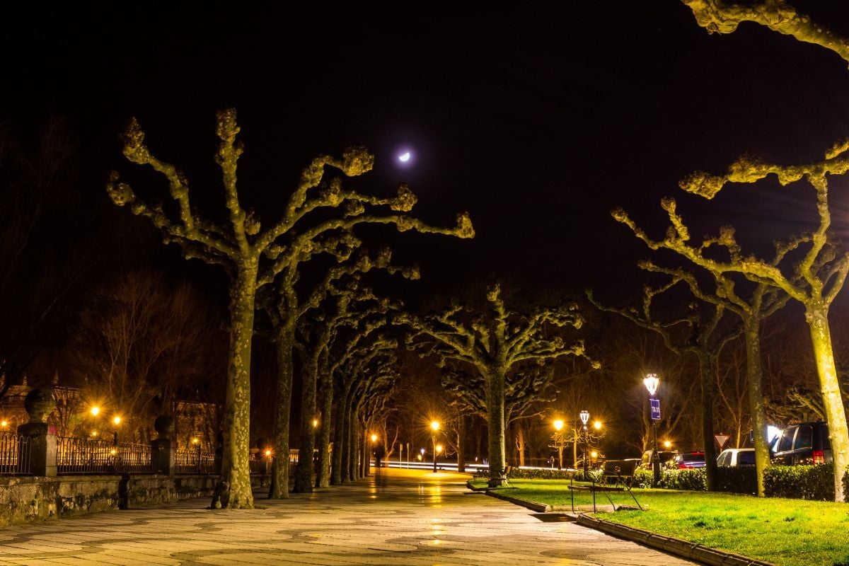 illuminated-street-lights-night_1200px
