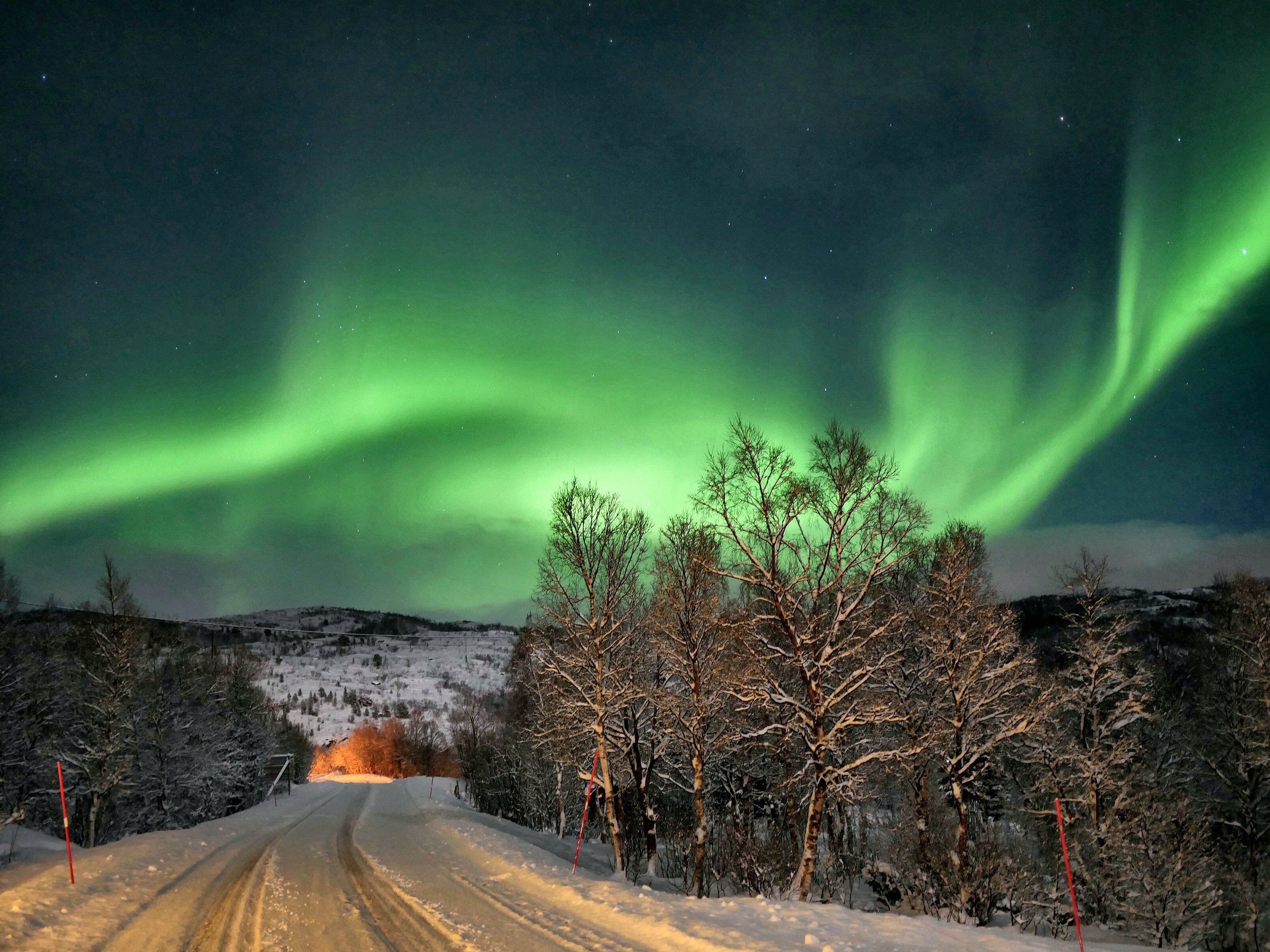 road-amidst-trees-against-aurora-borealis-sky-winter